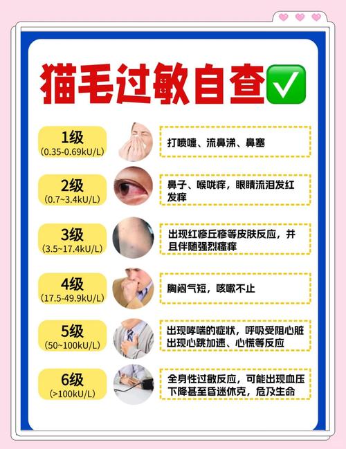 对猫咪过敏怎么办,对猫咪过敏怎么办治疗-第3张图片-后鲨宠物 对猫咪过敏怎么办,对猫咪过敏怎么办治疗-第3张图片-后鲨宠物