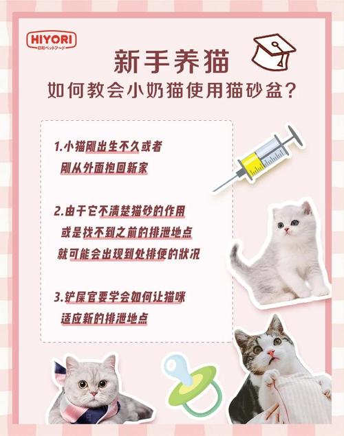 如何训练猫咪用猫砂,怎么训练小猫咪用猫砂盆?-第5张图片-后鲨宠物 如何训练猫咪用猫砂,怎么训练小猫咪用猫砂盆?-第5张图片-后鲨宠物