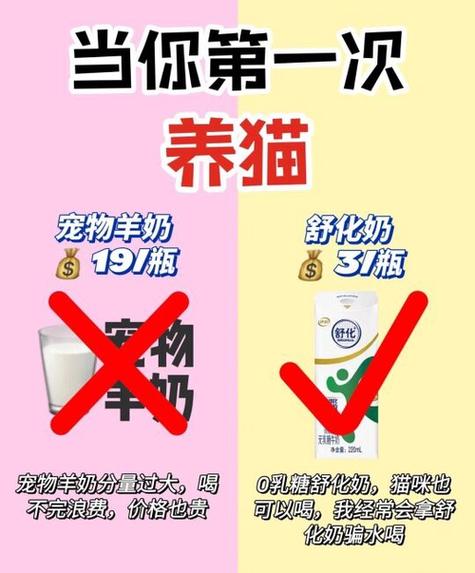 猫咪可以喝什么奶_猫咪可以喝什么奶粉比较好-第2张图片-后鲨宠物