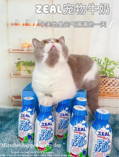 猫咪可以喝什么奶_猫咪可以喝什么奶粉比较好-第4张图片-后鲨宠物