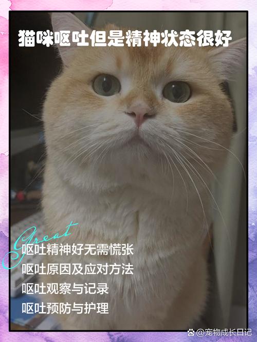 猫咪吐是什么原因_猫咪总是干呕是什么原因-第2张图片-后鲨宠物 猫咪吐是什么原因_猫咪总是干呕是什么原因-第2张图片-后鲨宠物