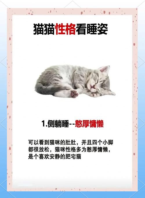 猫咪不叫是怎么回事，猫不叫是为什么？-第4张图片-后鲨宠物