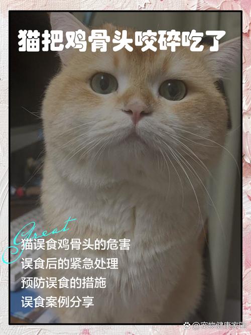 猫咪能吃骨头吗,猫咪吃骨头吗会怎么样?-第4张图片-后鲨宠物 猫咪能吃骨头吗,猫咪吃骨头吗会怎么样?-第4张图片-后鲨宠物