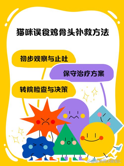 猫咪能吃骨头吗,猫咪吃骨头吗会怎么样?-第5张图片-后鲨宠物 猫咪能吃骨头吗,猫咪吃骨头吗会怎么样?-第5张图片-后鲨宠物