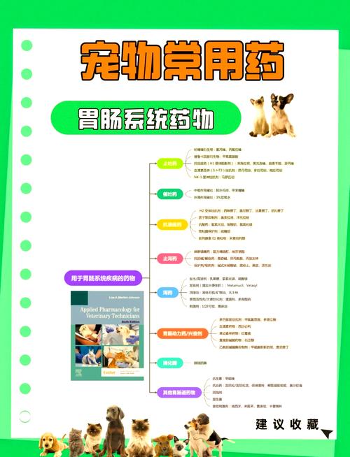 小猫咪吐了怎么办，小猫吐了是怎么了？