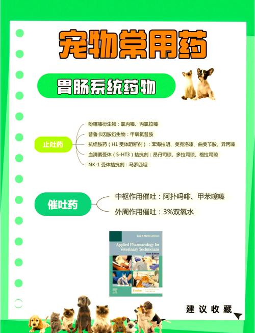 小猫咪吐了怎么办,小猫吐了是怎么了?-第2张图片-后鲨宠物 小猫咪吐了怎么办,小猫吐了是怎么了?-第2张图片-后鲨宠物