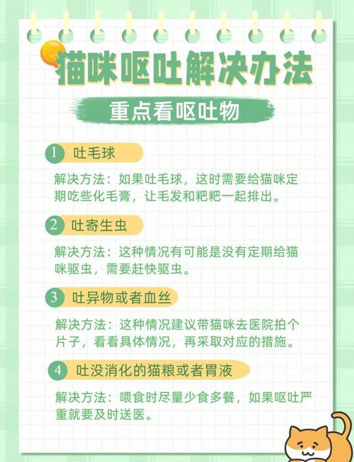 小猫咪吐了怎么办,小猫吐了是怎么了?-第5张图片-后鲨宠物 小猫咪吐了怎么办,小猫吐了是怎么了?-第5张图片-后鲨宠物