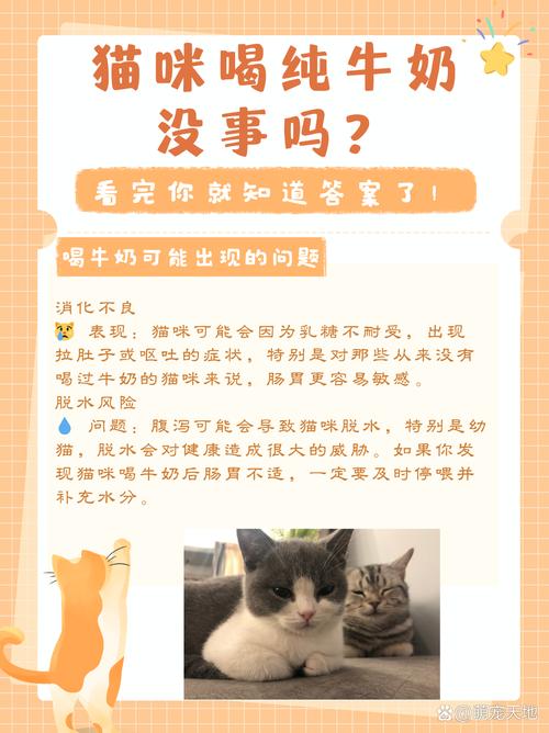 猫咪可以喝纯牛奶吗_哺乳期猫咪可以喝纯牛奶吗