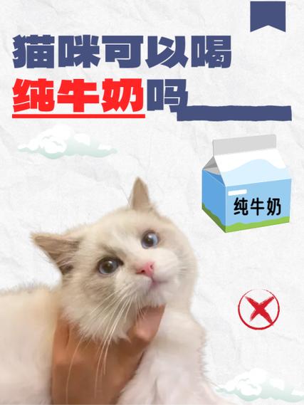 猫咪可以喝纯牛奶吗_哺乳期猫咪可以喝纯牛奶吗-第6张图片-后鲨宠物 猫咪可以喝纯牛奶吗_哺乳期猫咪可以喝纯牛奶吗-第6张图片-后鲨宠物