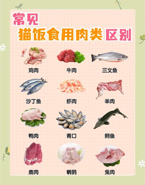 猫咪吃什么肉好,猫吃什么肉?-第2张图片-后鲨宠物 猫咪吃什么肉好,猫吃什么肉?-第2张图片-后鲨宠物