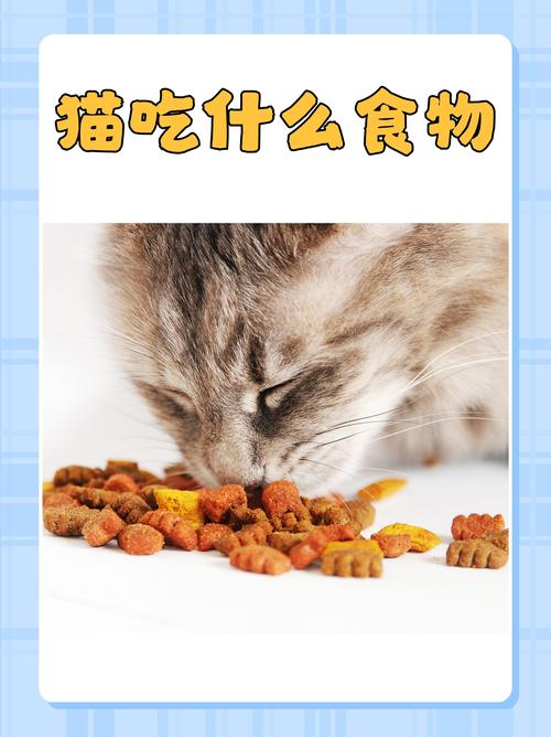 猫咪吃什么肉好,猫吃什么肉?-第6张图片-后鲨宠物 猫咪吃什么肉好,猫吃什么肉?-第6张图片-后鲨宠物
