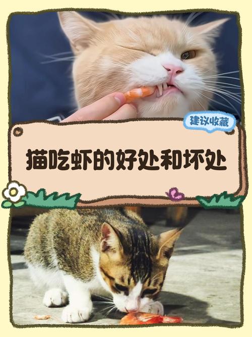 猫咪能吃螃蟹么_猫咪能吃螃蟹么为什么-第2张图片-后鲨宠物 猫咪能吃螃蟹么_猫咪能吃螃蟹么为什么-第2张图片-后鲨宠物
