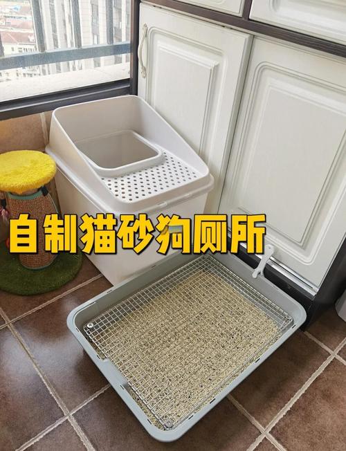 猫砂可以给狗狗用吗_猫砂可以给狗狗大便吗-第4张图片-后鲨宠物