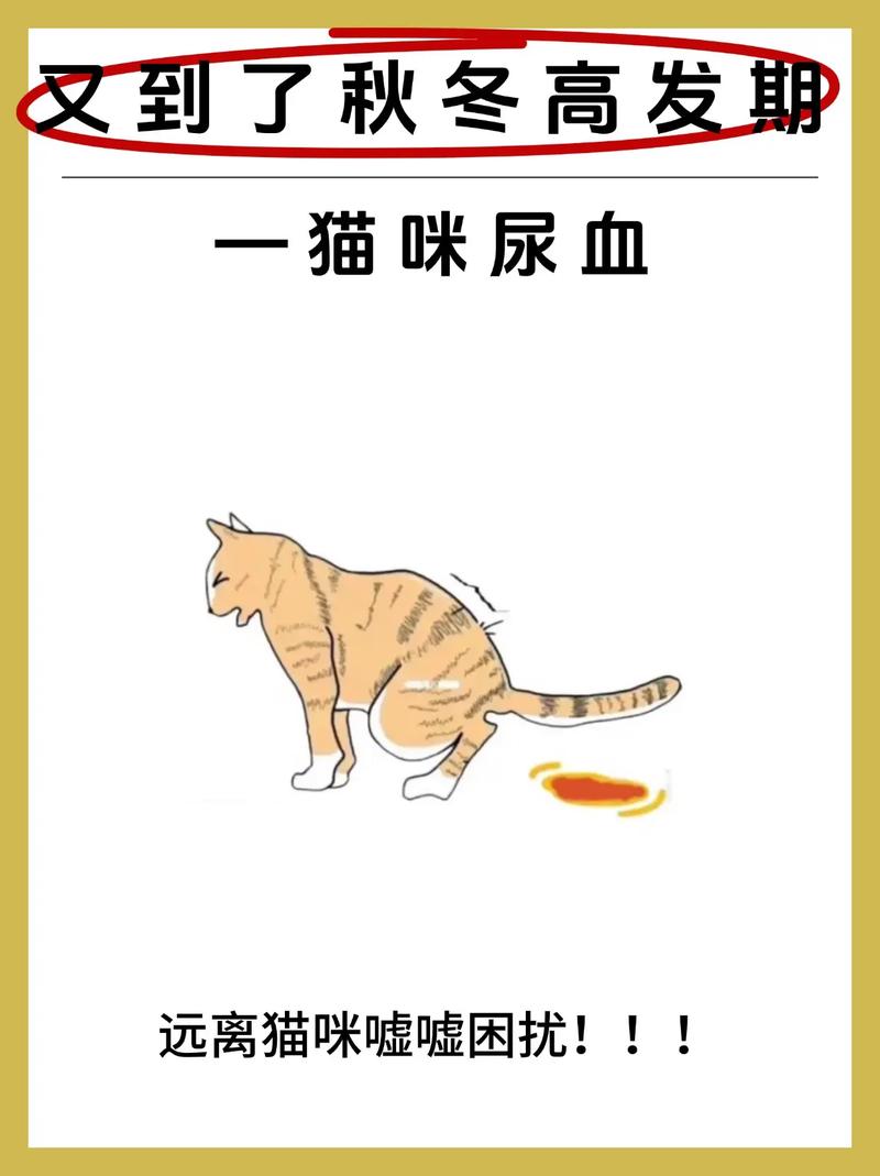 猫咪尿血能自愈吗_猫咪尿血能自愈吗?-第5张图片-后鲨宠物 猫咪尿血能自愈吗_猫咪尿血能自愈吗?-第5张图片-后鲨宠物