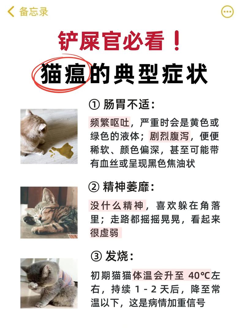 猫咪猫瘟初期症状_得了猫瘟的猫睡觉姿势