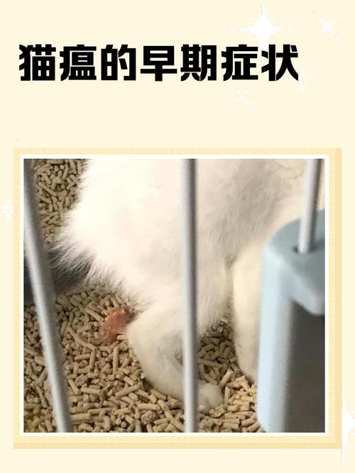 猫咪猫瘟初期症状_得了猫瘟的猫睡觉姿势-第5张图片-后鲨宠物 猫咪猫瘟初期症状_得了猫瘟的猫睡觉姿势-第5张图片-后鲨宠物