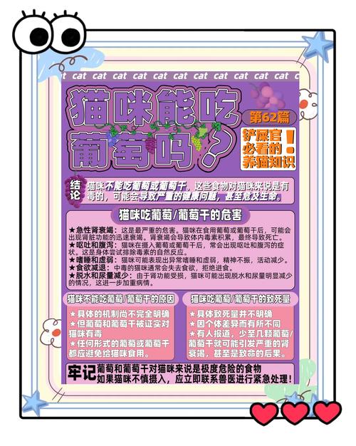 猫咪能吃葡萄吗,猫咪前十禁忌水果-第4张图片-后鲨宠物 猫咪能吃葡萄吗,猫咪前十禁忌水果-第4张图片-后鲨宠物