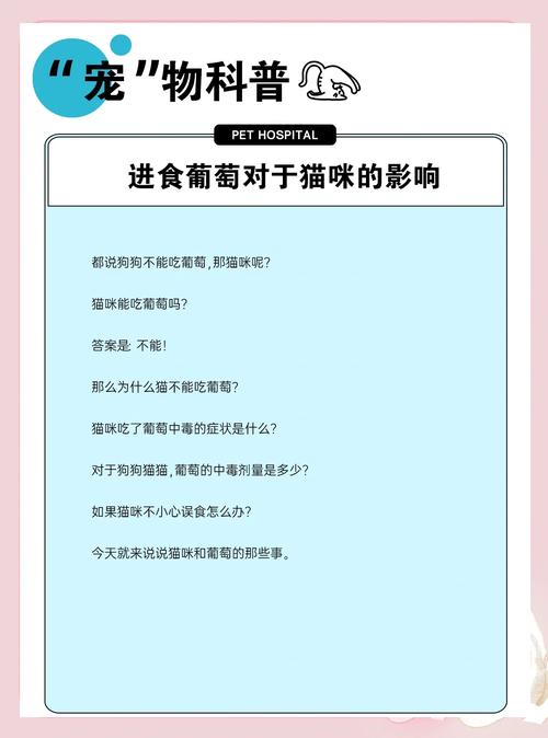 猫咪能吃葡萄吗,猫咪前十禁忌水果-第5张图片-后鲨宠物 猫咪能吃葡萄吗,猫咪前十禁忌水果-第5张图片-后鲨宠物