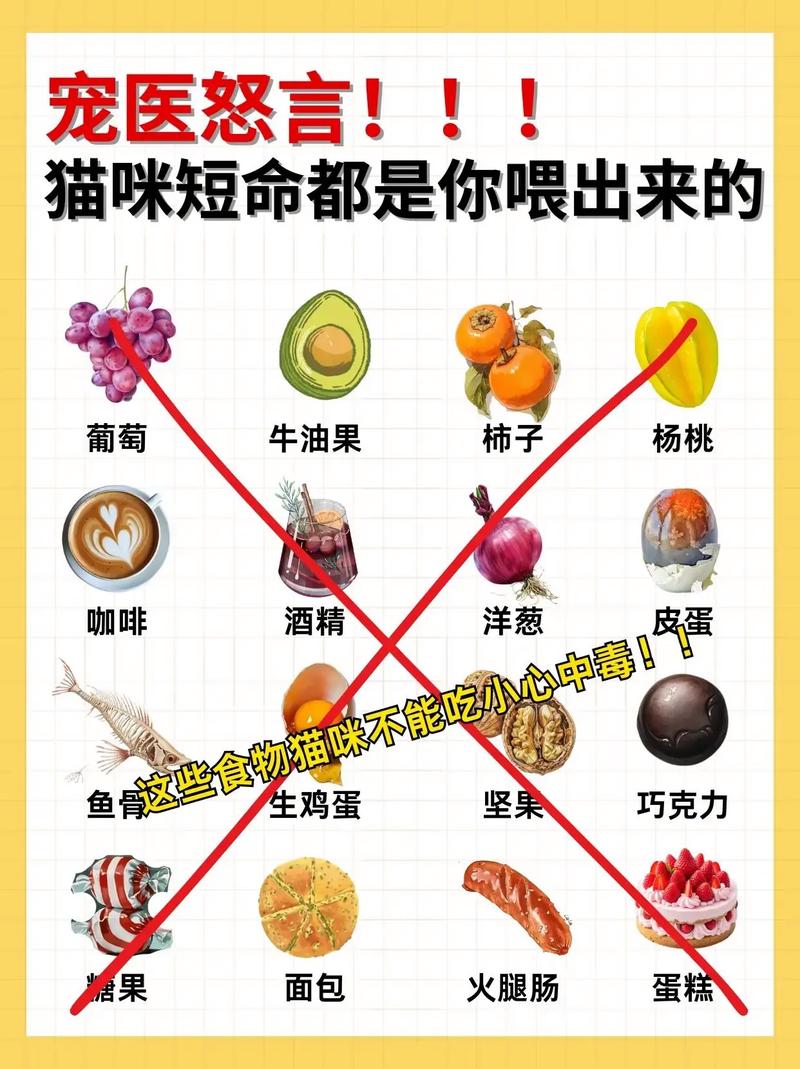 猫咪能吃红豆吗,猫咪能吃红豆沙吗-第6张图片-后鲨宠物 猫咪能吃红豆吗,猫咪能吃红豆沙吗-第6张图片-后鲨宠物