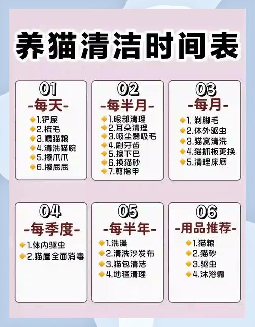 怎么给猫咪洗脸,猫咋洗脸-第3张图片-后鲨宠物 怎么给猫咪洗脸,猫咋洗脸-第3张图片-后鲨宠物