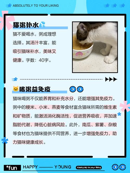 猫咪能喝小米粥吗,宠物猫能喝小米粥吗?-第3张图片-后鲨宠物 猫咪能喝小米粥吗,宠物猫能喝小米粥吗?-第3张图片-后鲨宠物