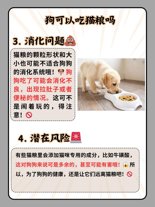  猫粮可以给狗狗吃吗，猫粮可以给狗狗吃吗求专家回答