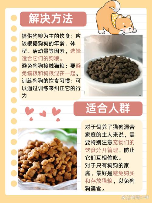  猫粮可以给狗狗吃吗，猫粮可以给狗狗吃吗求专家回答-第3张图片-后鲨宠物