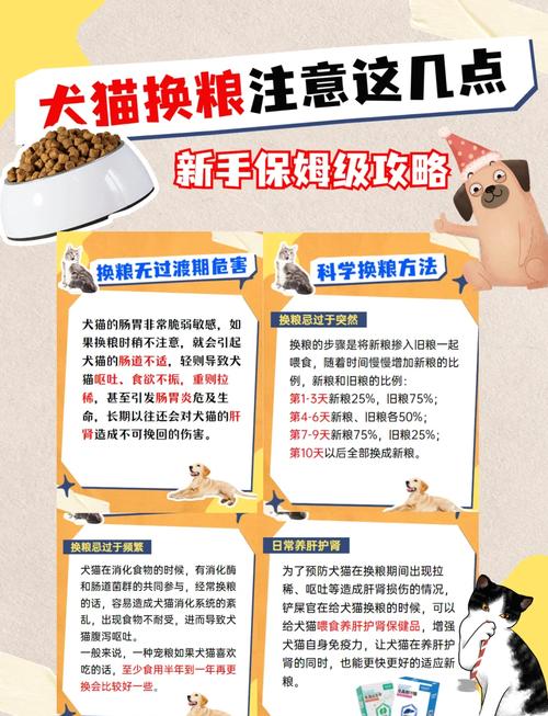  猫粮可以给狗狗吃吗，猫粮可以给狗狗吃吗求专家回答-第5张图片-后鲨宠物