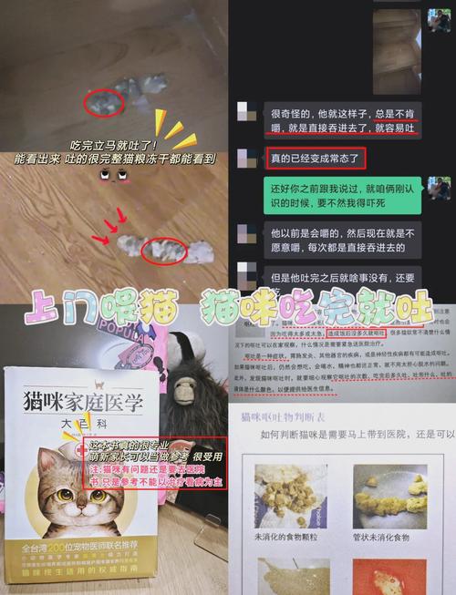猫咪吃猫粮吐了为什么_猫咪吃猫粮的时候吐了-第3张图片-后鲨宠物 猫咪吃猫粮吐了为什么_猫咪吃猫粮的时候吐了-第3张图片-后鲨宠物