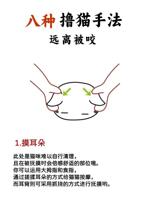 如何让猫咪不咬人_咋样让猫不咬人-第2张图片-后鲨宠物