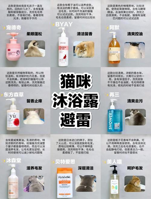 猫咪洗澡用什么沐浴露_猫咪洗澡用啥沐浴露