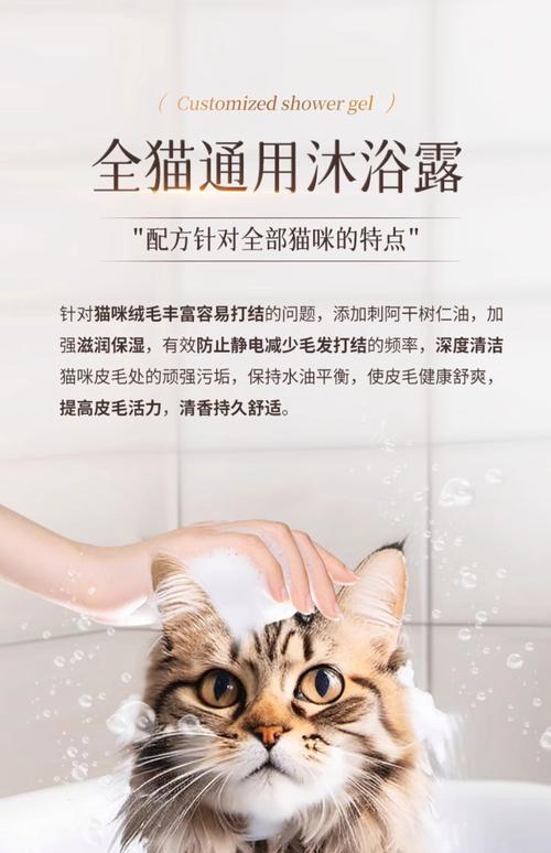 猫咪洗澡用什么沐浴露_猫咪洗澡用啥沐浴露-第3张图片-后鲨宠物