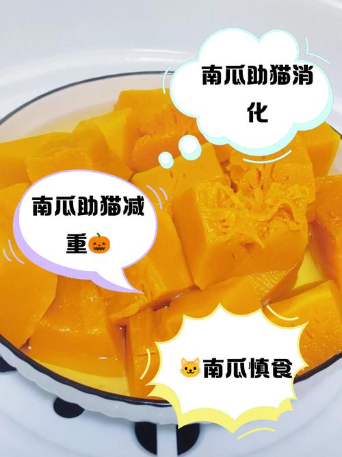 猫咪为什么喜欢吃红薯,猫为什么爱吃地瓜-第3张图片-后鲨宠物 猫咪为什么喜欢吃红薯,猫为什么爱吃地瓜-第3张图片-后鲨宠物