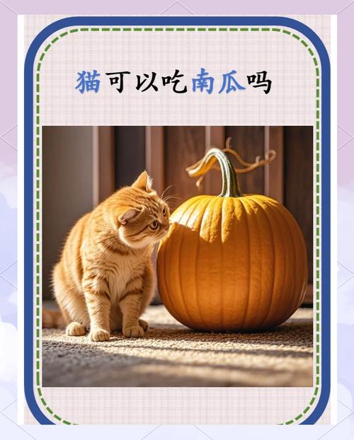 猫咪为什么喜欢吃红薯,猫为什么爱吃地瓜-第4张图片-后鲨宠物 猫咪为什么喜欢吃红薯,猫为什么爱吃地瓜-第4张图片-后鲨宠物