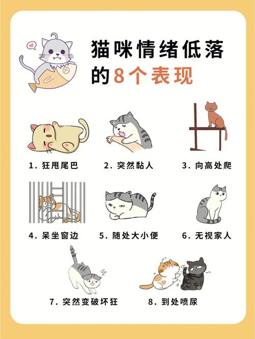  猫咪不开心怎么办，猫咪很不开心-第5张图片-后鲨宠物