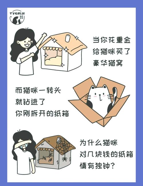 猫咪为什么喜欢箱子_猫咪为什么喜欢箱子的味道-第5张图片-后鲨宠物 猫咪为什么喜欢箱子_猫咪为什么喜欢箱子的味道-第5张图片-后鲨宠物