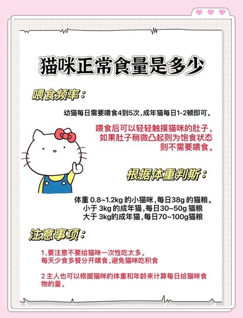  猫咪吃猫粮好吗，宠物猫吃猫粮-第3张图片-后鲨宠物