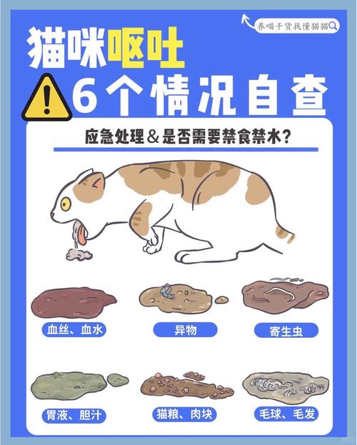  猫咪又吐又拉怎么回事，猫咪上吐下泻能自愈吗-第3张图片-后鲨宠物