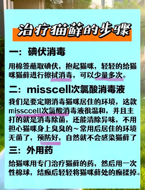 猫咪可以用碘伏吗,猫能用碘伏消毒吗-第4张图片-后鲨宠物 猫咪可以用碘伏吗,猫能用碘伏消毒吗-第4张图片-后鲨宠物