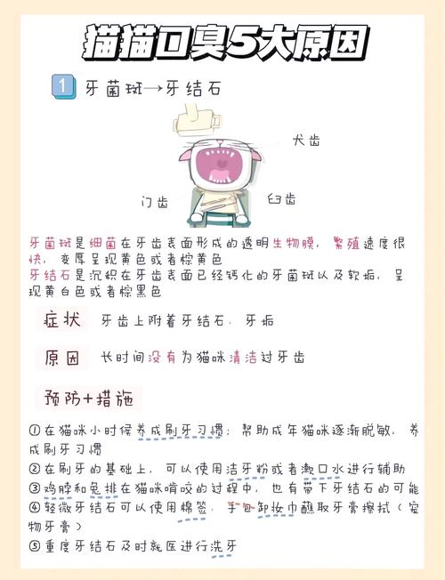 猫咪有口臭是什么原因,猫咪有口臭该怎么办?-第1张图片-后鲨宠物 猫咪有口臭是什么原因,猫咪有口臭该怎么办?-第1张图片-后鲨宠物