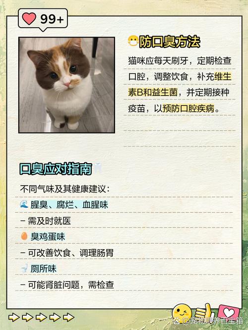 猫咪有口臭是什么原因,猫咪有口臭该怎么办?-第2张图片-后鲨宠物 猫咪有口臭是什么原因,猫咪有口臭该怎么办?-第2张图片-后鲨宠物