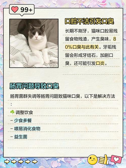 猫咪有口臭是什么原因,猫咪有口臭该怎么办?-第4张图片-后鲨宠物 猫咪有口臭是什么原因,猫咪有口臭该怎么办?-第4张图片-后鲨宠物