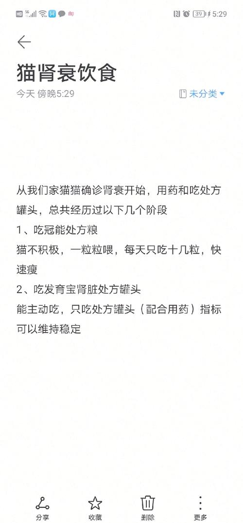 猫猫可以吃饭吗_猫可以吃饭菜吗-第3张图片-后鲨宠物