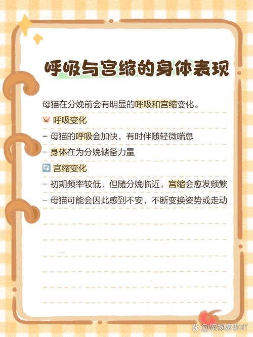  猫咪生产前的症状，猫咪生产前有什么迹象-第6张图片-后鲨宠物