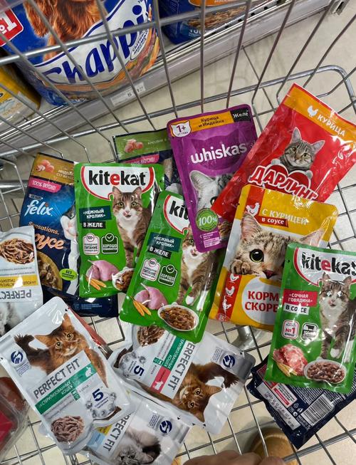 猫咪爱吃什么零食，遇见流浪猫可以喂什么？