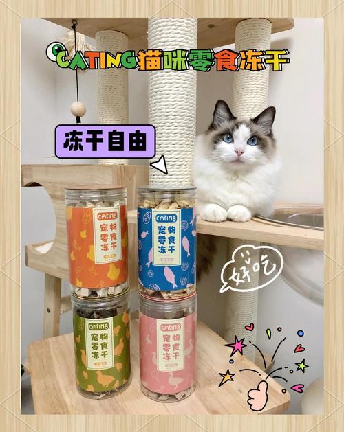 猫咪爱吃什么零食，遇见流浪猫可以喂什么？-第5张图片-后鲨宠物