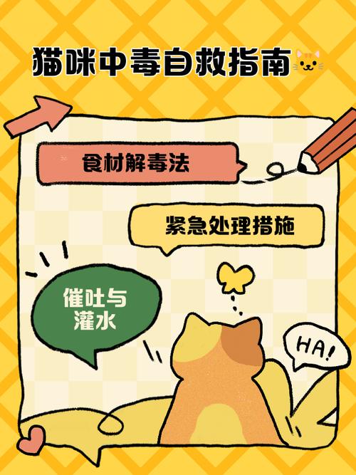 猫咪中毒怎么办,猫咪中毒了该怎么解毒有些晚?-第2张图片-后鲨宠物 猫咪中毒怎么办,猫咪中毒了该怎么解毒有些晚?-第2张图片-后鲨宠物