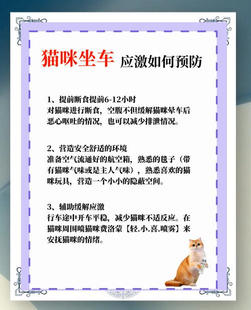 猫咪晕车怎么办,猫咪晕车会自愈吗-第5张图片-后鲨宠物 猫咪晕车怎么办,猫咪晕车会自愈吗-第5张图片-后鲨宠物