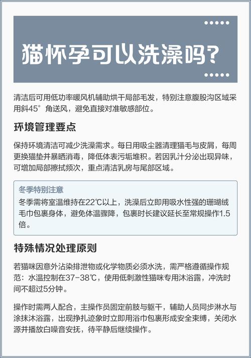 猫咪怀孕可以洗澡吗,猫咪怀孕能给洗澡吗-第5张图片-后鲨宠物 猫咪怀孕可以洗澡吗,猫咪怀孕能给洗澡吗-第5张图片-后鲨宠物