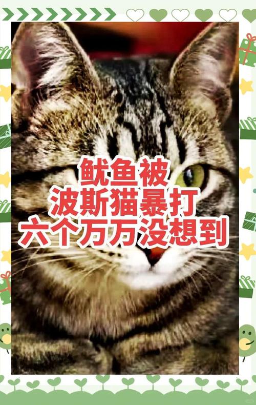 猫咪可以吃鱿鱼吗，猫咪吃鱿鱼吗会怎么样？-第2张图片-后鲨宠物